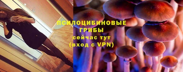 ешки Богданович