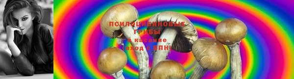 ешки Богородск