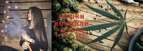 ешки Богданович